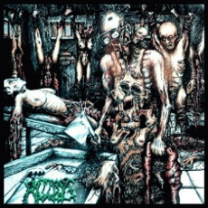 Rotting Bowels : Killed by My Rage